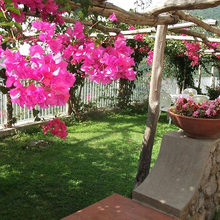 Bouganville Holiday Home Vietri Extérieur photo